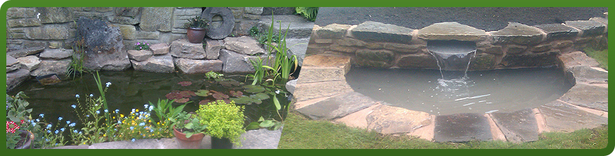 Garden Ponds Waterfalls