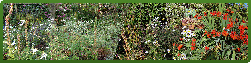 Traditional planting scheme with established flower beds, Sheffield