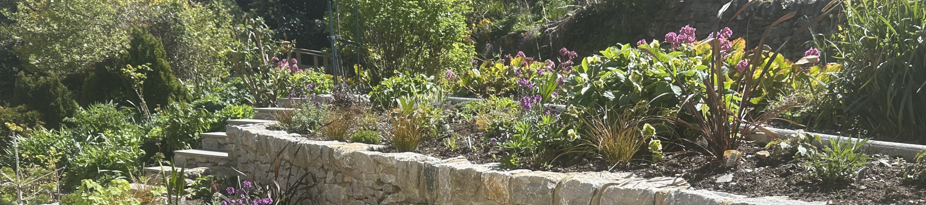 Planting Schemes by Willow Landscapes, Sheffield