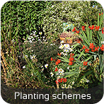 Planting schemes in Sheffield