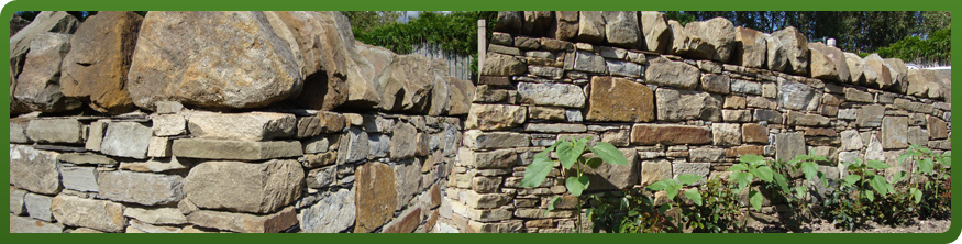 Reclaimed stone wall with Derbyshire-style copings, Meersbrook, Sheffield